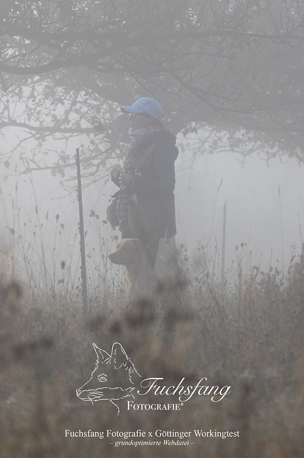 Wie sind VORZÜGLICH.