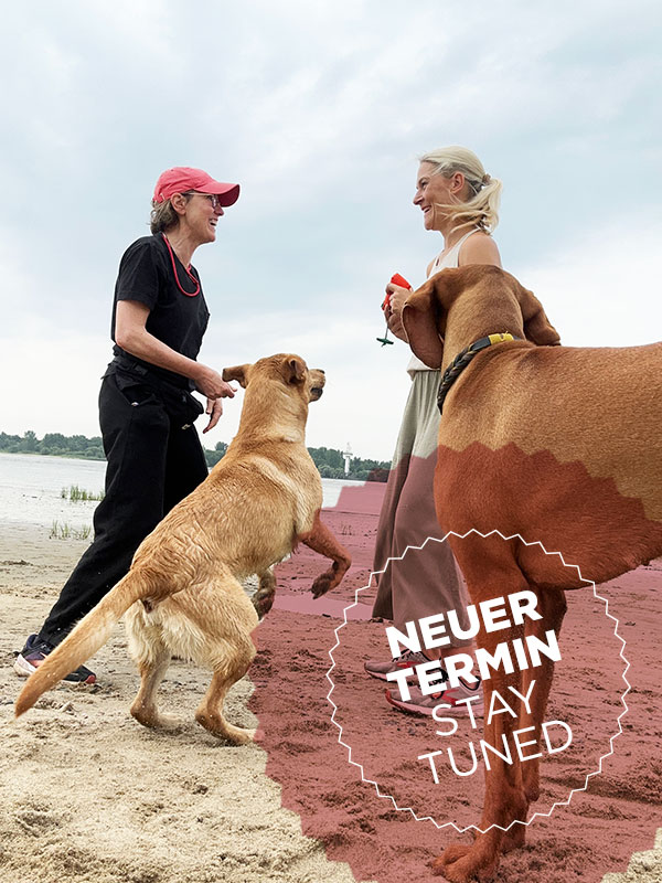 Du liebst die Dummyarbeit und möchtest, daß dein Hund mit dir ein unschlagbares Team wird? 