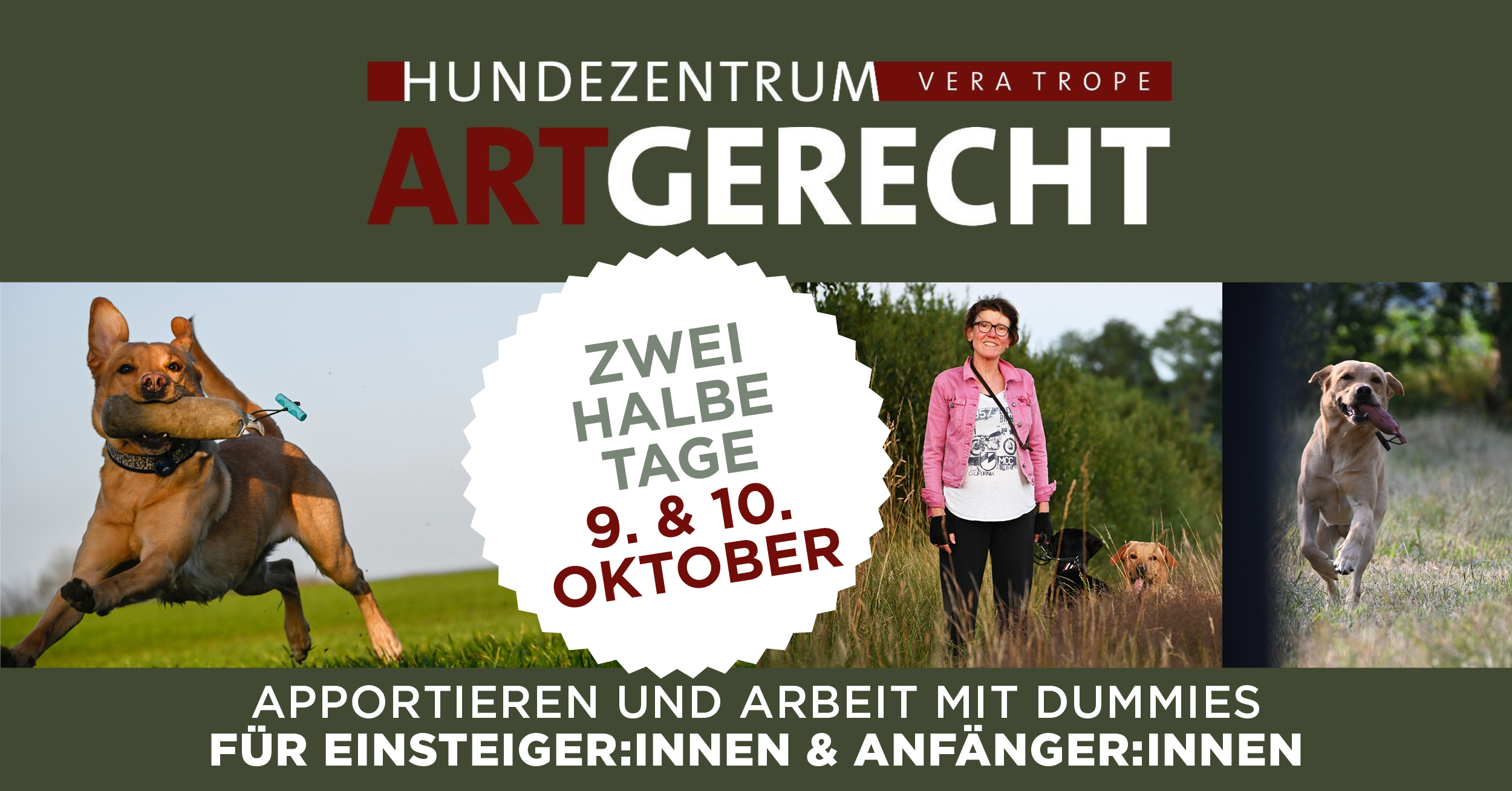 Aller Anfang ist leicht in Bad Pyrmont – JederHund ist willkommen.